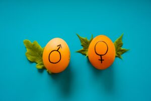 Mastering The Concept Of Word Gender In Brazilian Portuguese Featured Image