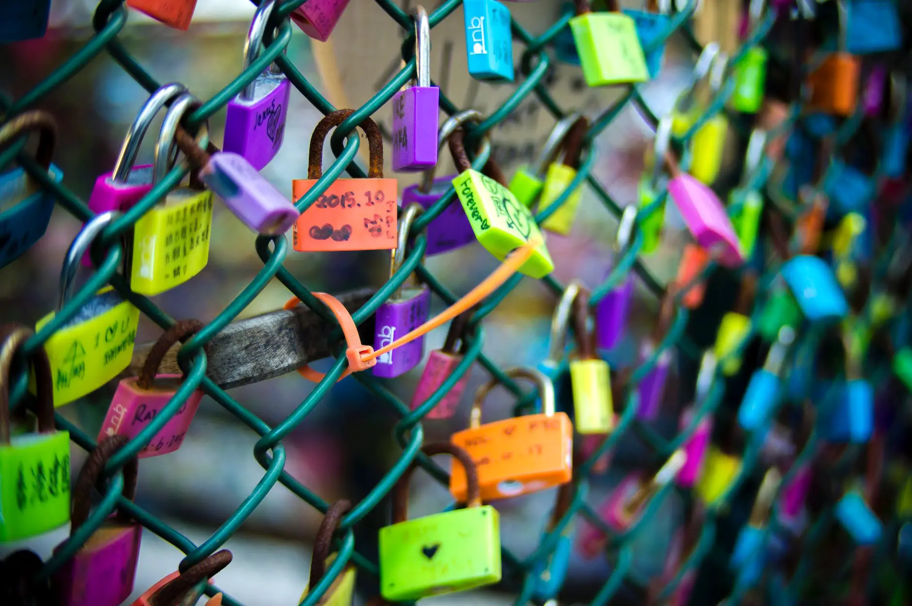 green chain link fence with assorted color padlocks